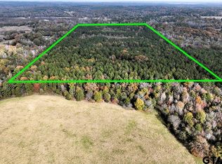 County Road 4583, Winnsboro, TX 75494