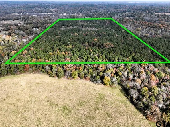 County Road 4583, Winnsboro, TX 75494