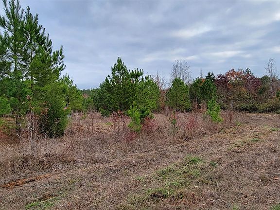 5th image of 0 Jewell Gooch Rd