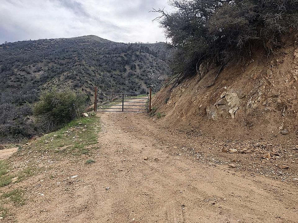 2nd image of Blackburn Cyn