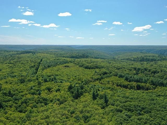 1st image of Route 337