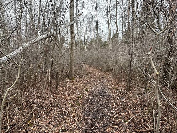 2nd image of Cedar St