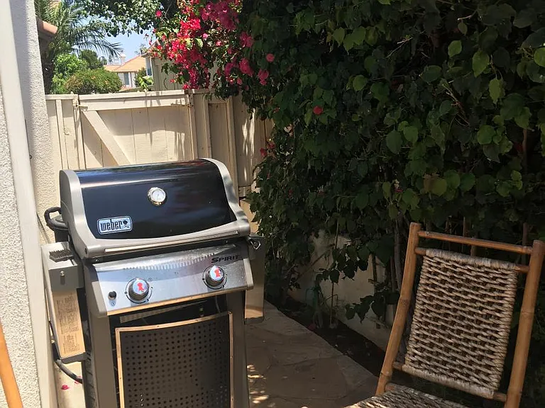Gas grill