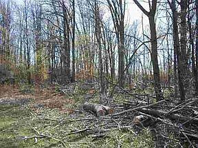 2nd image of 3791 Crosby Rd