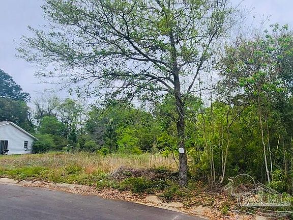 3rd image of 4600 Petra Cir