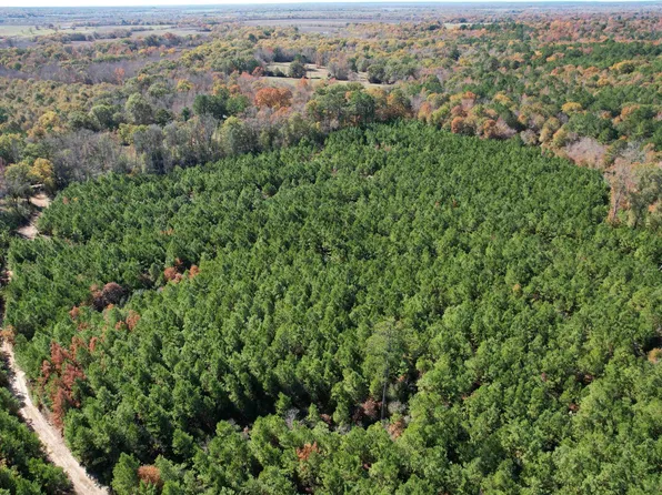 County Road 2065, Crockett, TX 75835