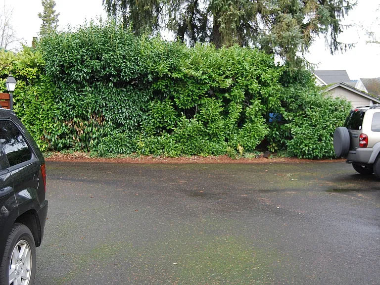 BEL507 — Photo 14