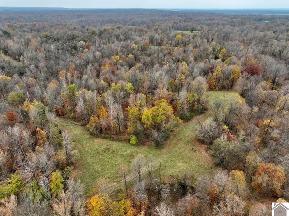 0 Beech Grove Rd, Hickman, KY 42050