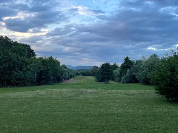 0 Three Mile Mountain Ln, Mount Jackson, VA 22842