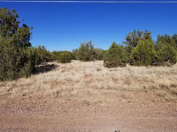 8358 Navajo Dr, Show Low, AZ 85901