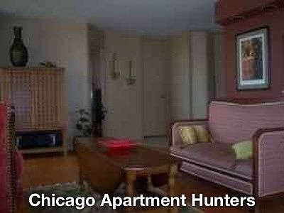 1st image of 345 W Fullerton Pkwy APT 2807