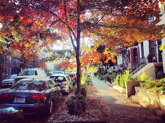 Exterior view from the window in the Fall