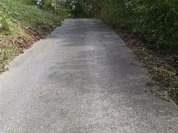 4th image of 1101 Deer Trail Way