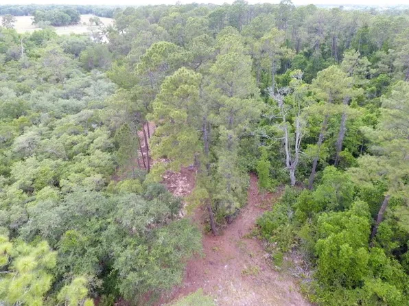 161 Snake Hill Rd Lot 5, Crescent City, FL 32112