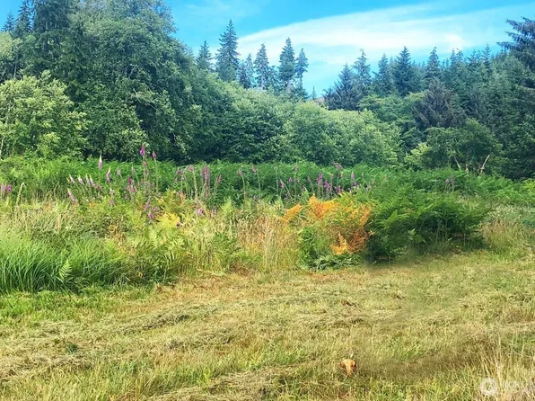 0 South Valley Lane Lot 5, Naselle, WA 98638