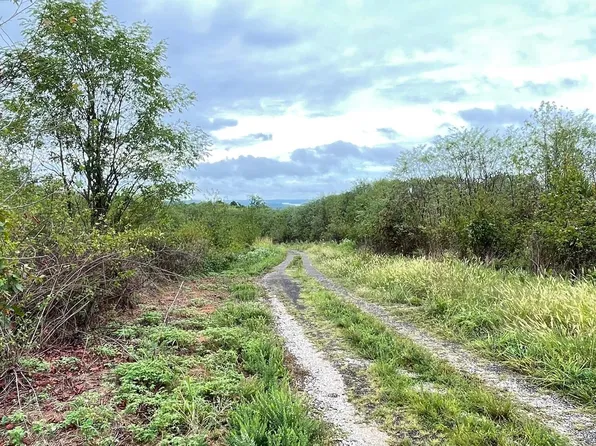 819 New Era Bluff Rd, Linden, TN 37096