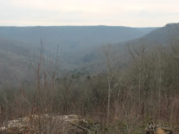 E Bobcat Ln, Jamestown, TN 38556