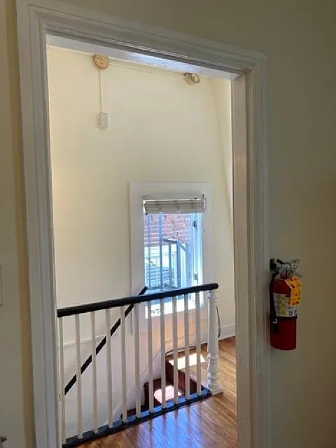 1 bed, $1,175 — Photo 3