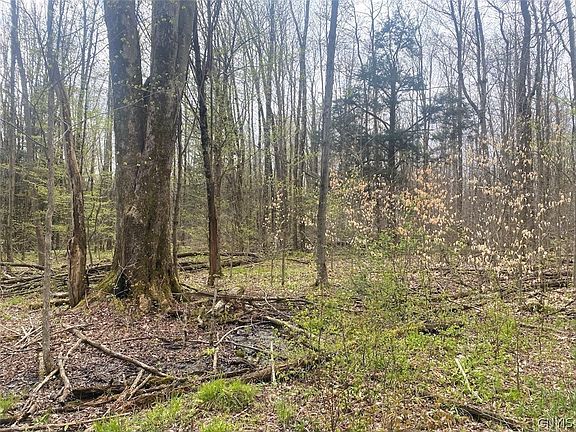 3rd image of 6281 E Hill Rd