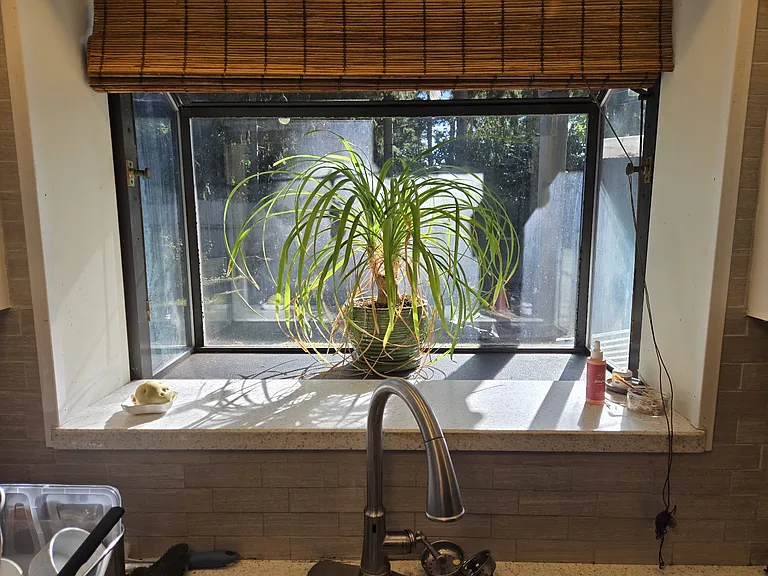 Kitchen Window (Current Photo)