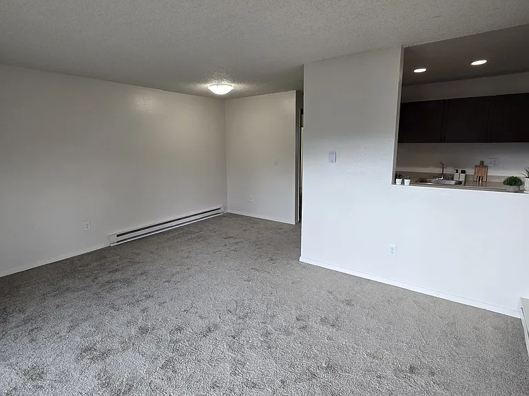 1 Bedroom Layout
