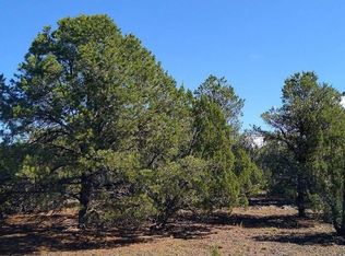 71 County Road 8148 #1-2, Concho, AZ 85924