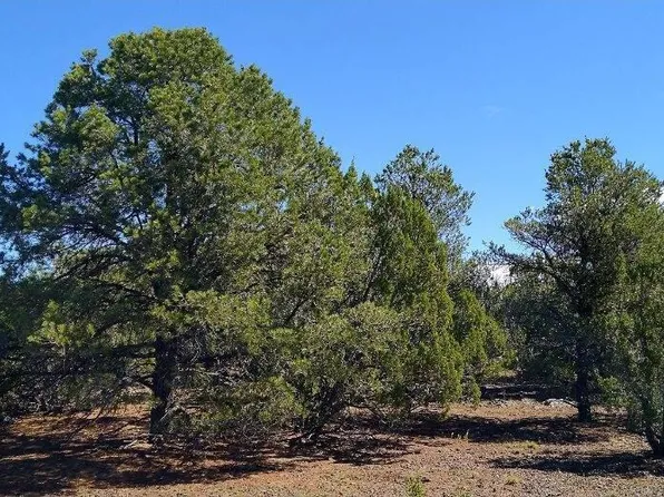 71 County Rd 8148 Parcel 1 -- #2, Concho, AZ 85924