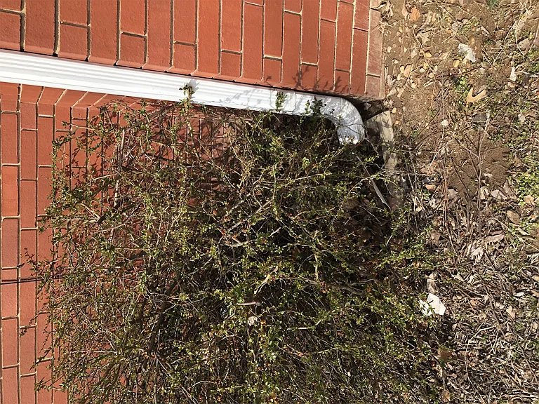 111 Fox Run Pl #B — Photo 157