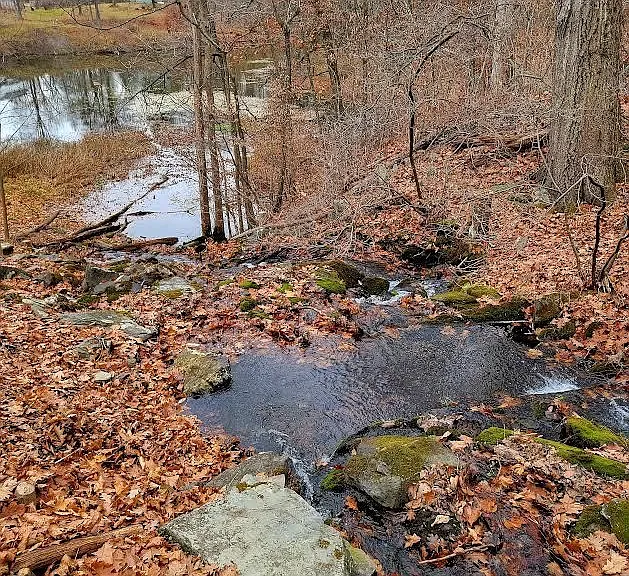 461 Route 199 — Photo 33