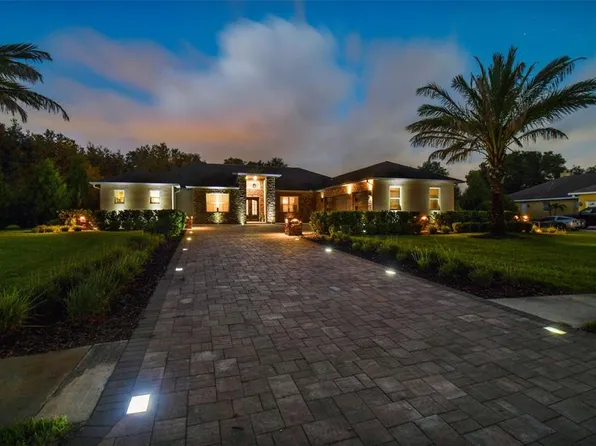 19711 Wild Water Cv, Lutz, FL 33559