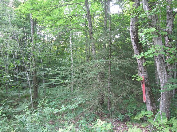 2nd image of 1364 County Road 373