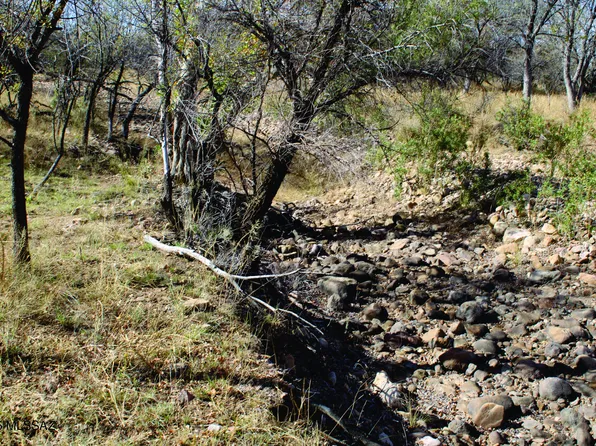 E Roadrunner Rd #D, Pearce, AZ 85625