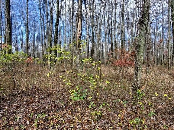 4th image of 1670 Woodville Pike