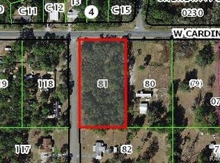 6775 S Sorrell Ave, Homosassa, FL 34446
