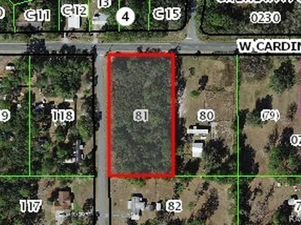 6775 S Sorrell Ave, Homosassa, FL 34446