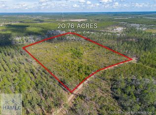 0 Barn Owl Ln, Millwood, GA 31552