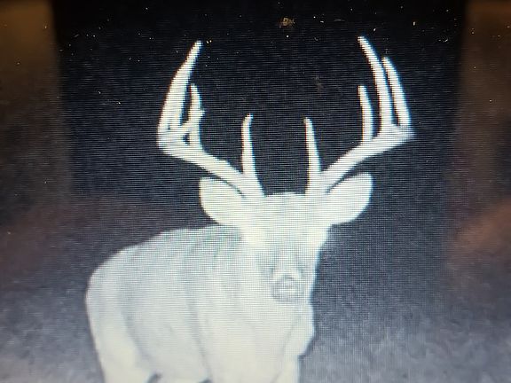 5th image of Tram Rd Lot Wp001