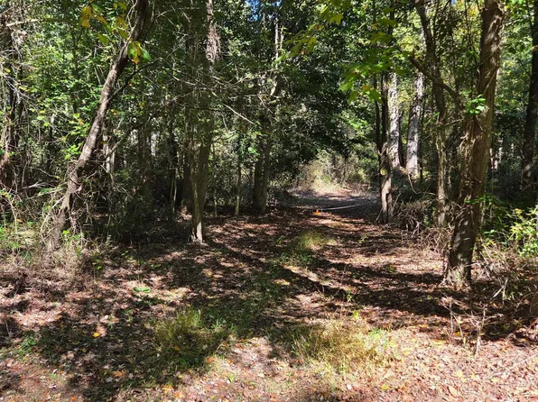 Duhamel Corner Rd, Marydel, MD 21649