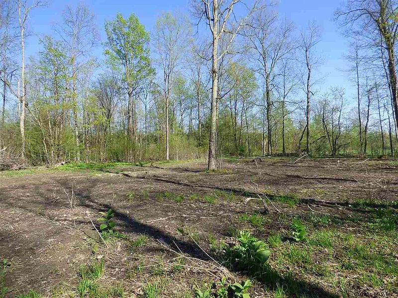 3rd image of 261A SCOTCH BUSH Road