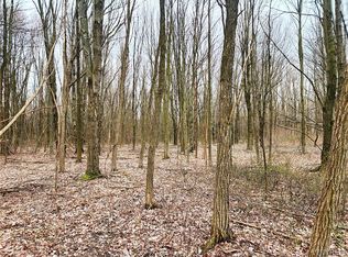 0 Mezzio Rd #64, Forestville, NY 14062