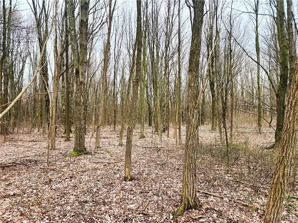 0 Mezzio Rd #64, Forestville, NY 14062