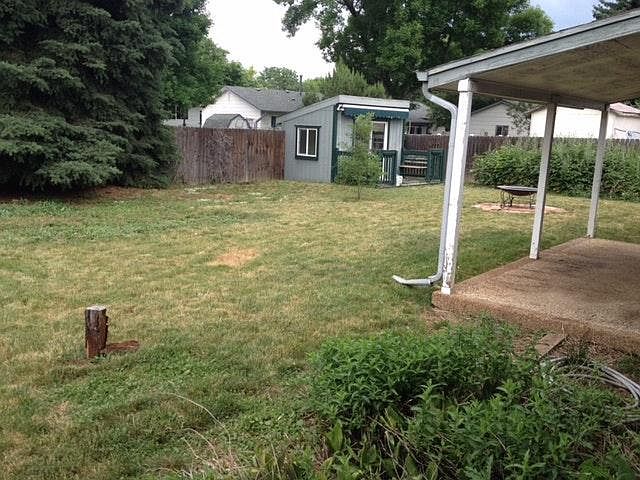 back yard