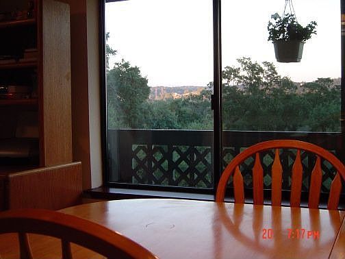 view from dining table