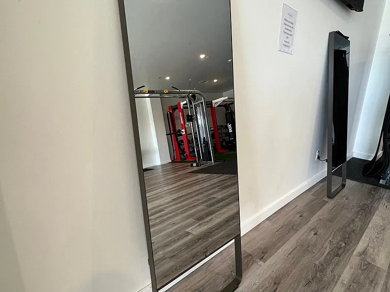 The Mirror