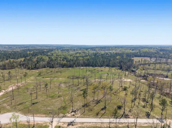 LOT 4 Johnson Dr, Livingston, TX 77351