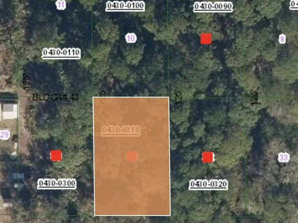 320 PALM Way, Georgetown, FL 32139