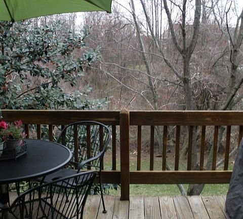 View of woods from deck