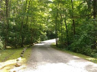99999 Black Bear Cove Dr, Asheville, NC 28805