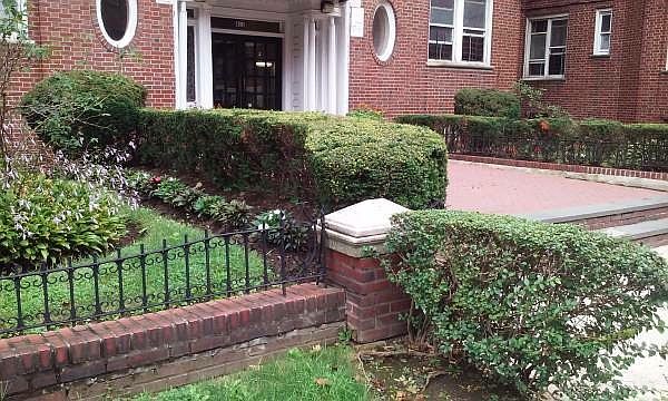 1st image of 425 E 17th St #10