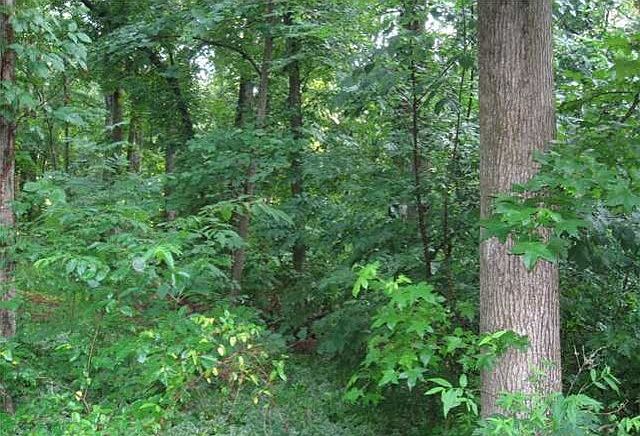 1st image of 5104 Hunters Meadow Pl